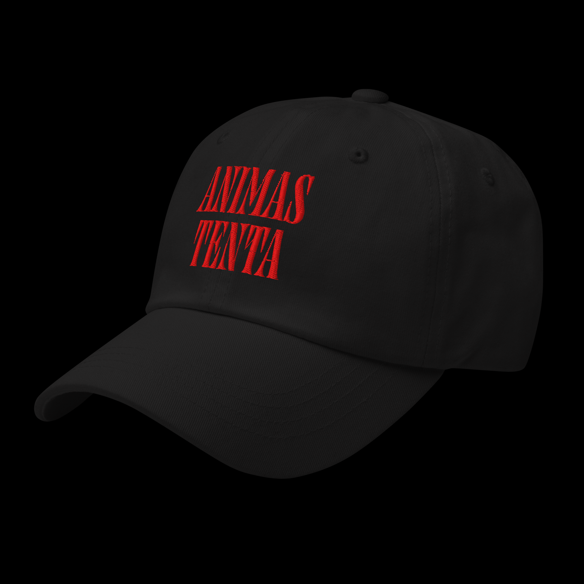 ANIMAS TENTA Dad hat